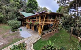 Refugio en el Bosque